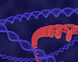 医疗器械广州生物相容性评价要点-[纽唯检测]