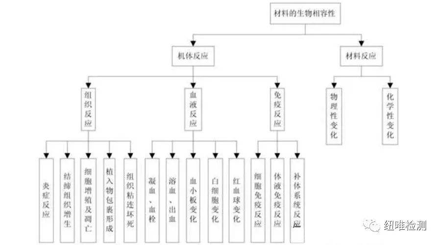 一文看懂无源医械材料广州生物相容性研究，广州生物相容性（三）